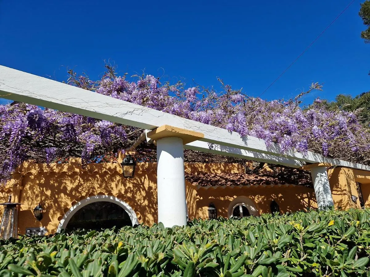 Le Cosy Hotel Saint Aygulf France